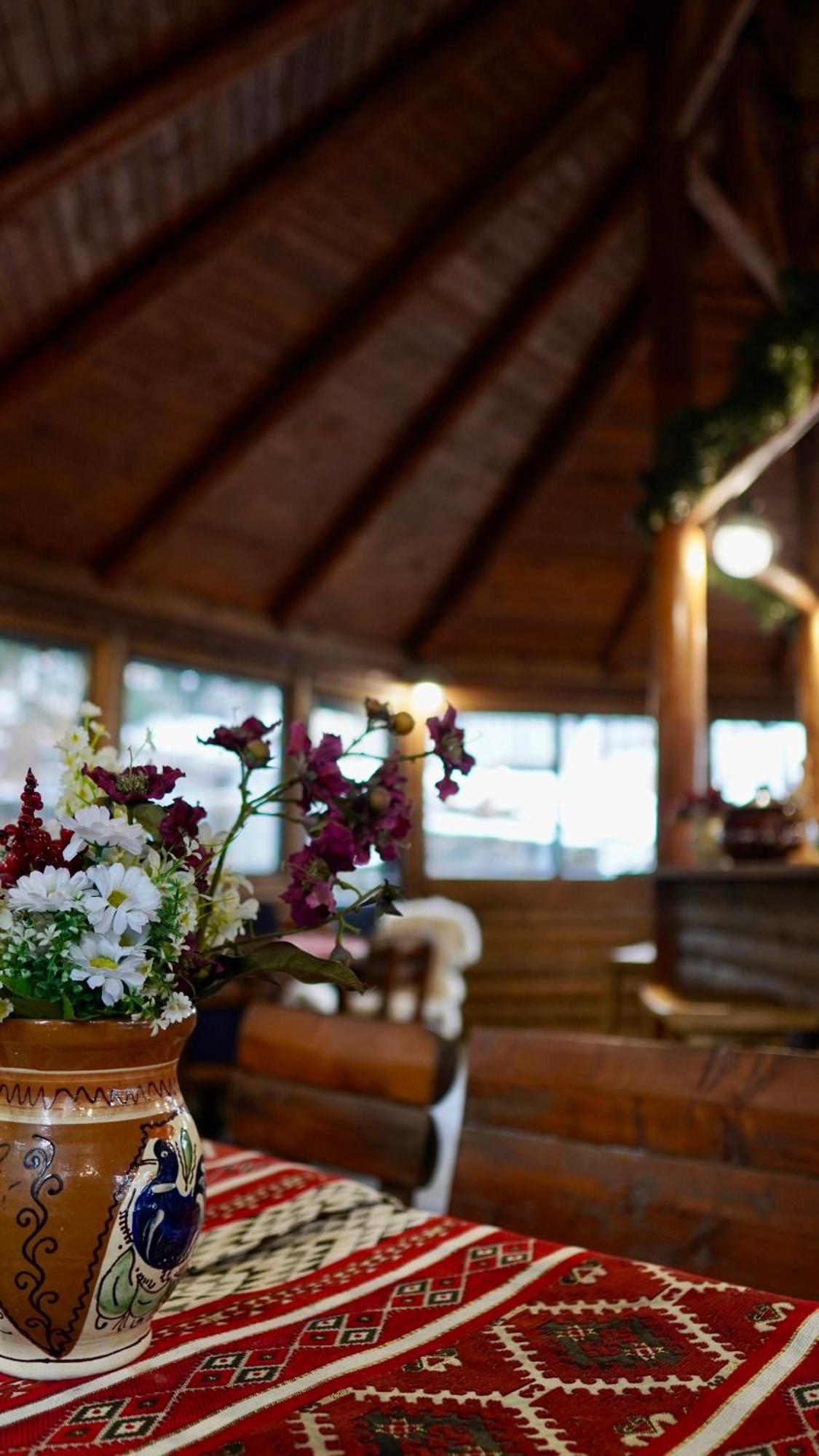 Hotel Carpat Inn Азуга Экстерьер фото